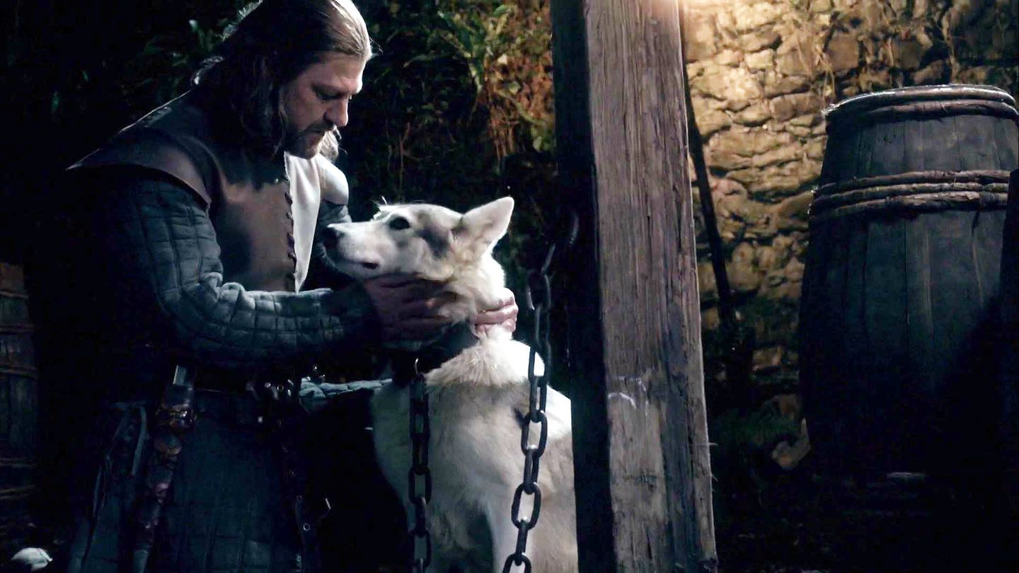 Ned Stark, a punto de matar a Dama, la loba de Sansa. (HBO)