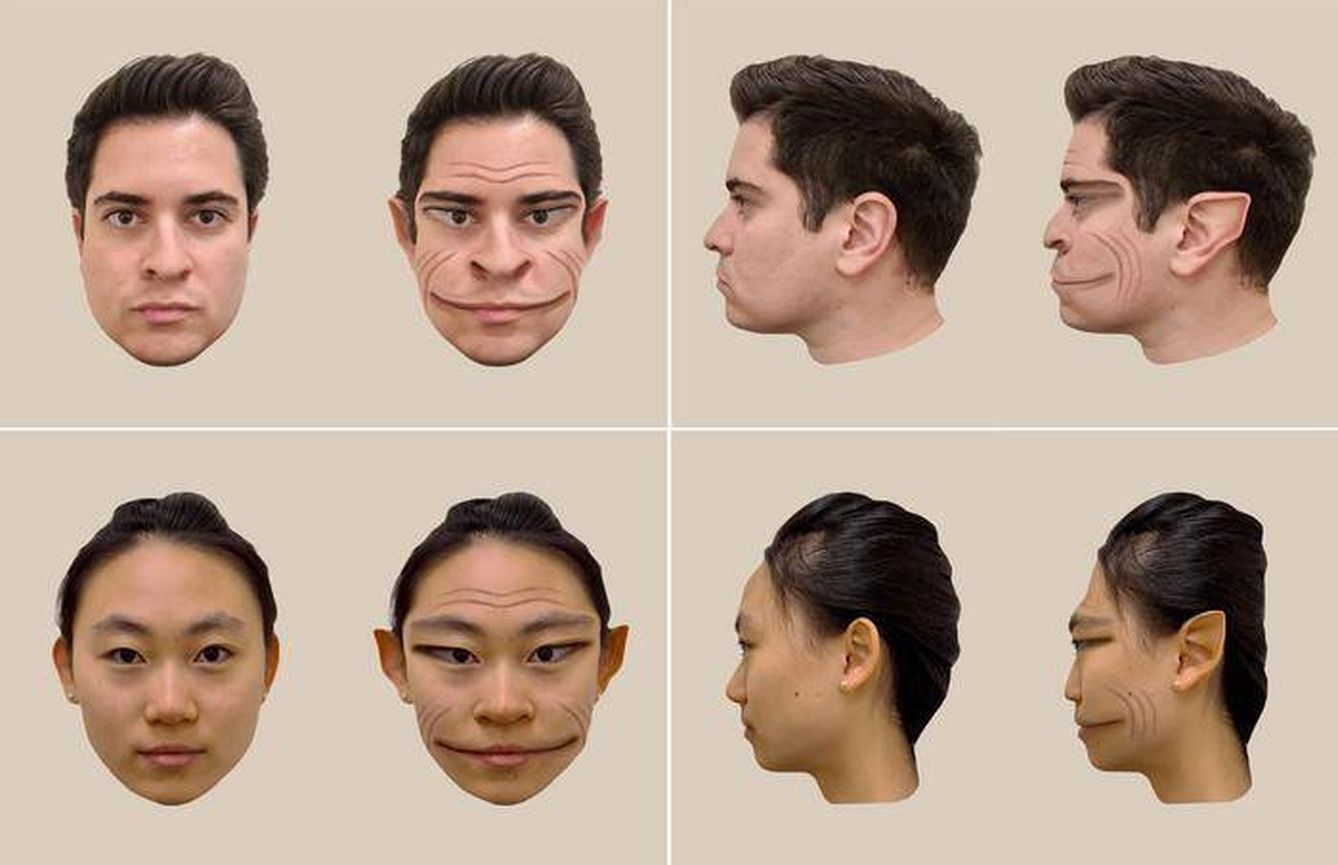 Es un trastorno visual que transforma rostros familiares en pesadillas vivientes ( A. Mello et al.)