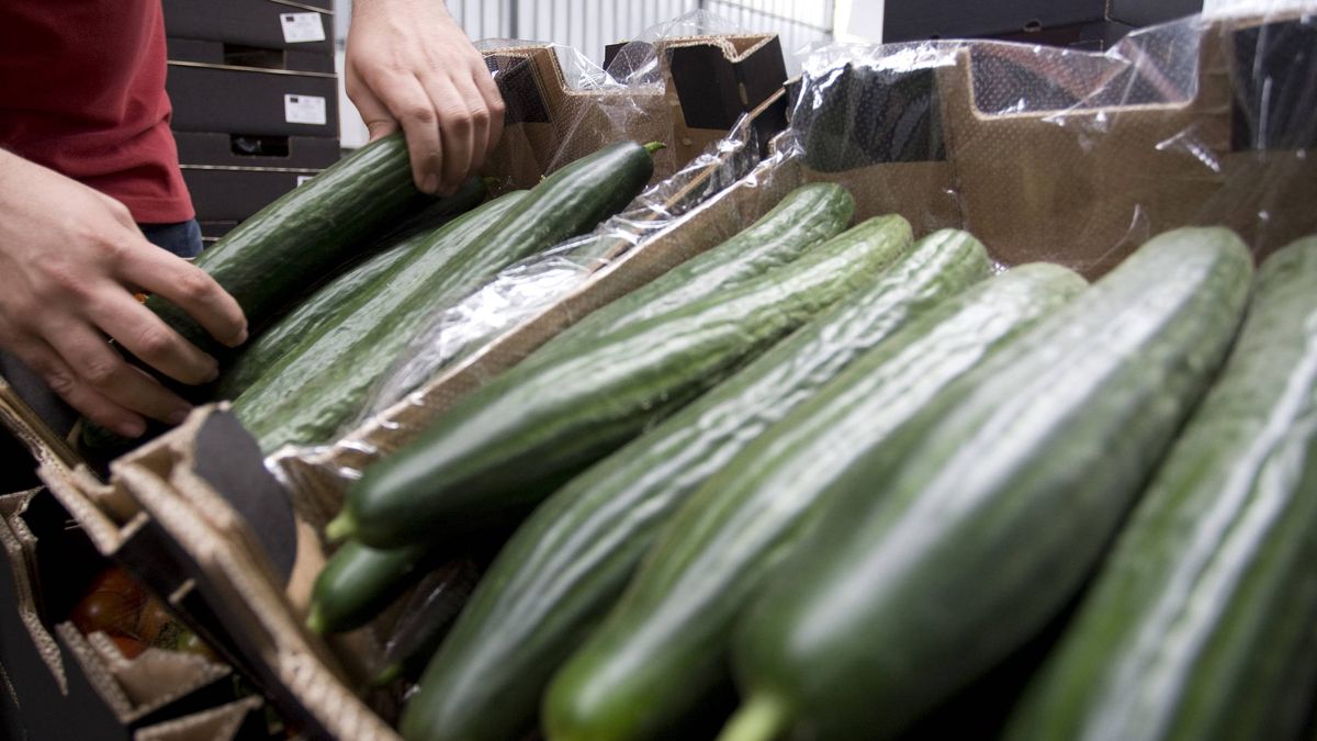 Unica, primer exportador de hortalizas: "El agricultor tiene que dejar de especular"
