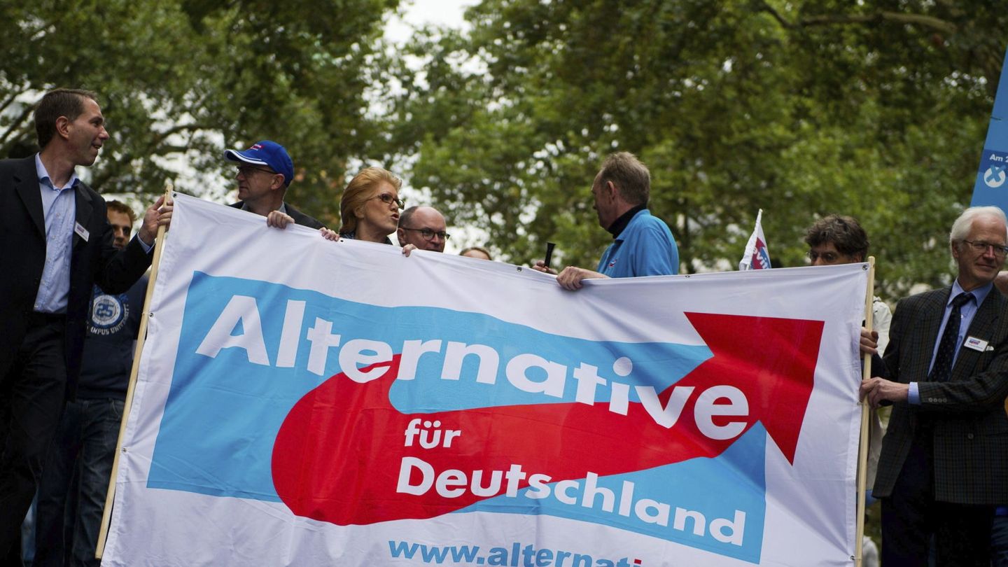 Manifestación del partido Alternativa para Alemania (Efe).