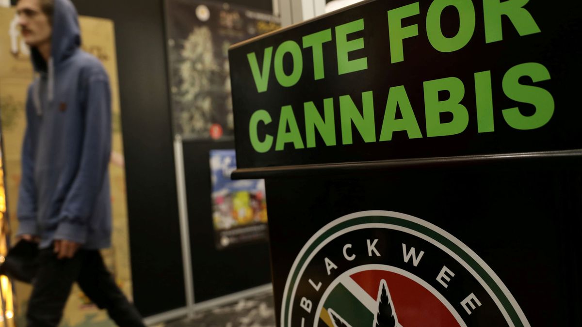 EEUU da el primer paso para legalizar el cannabis en todo el país, el sector se dispara