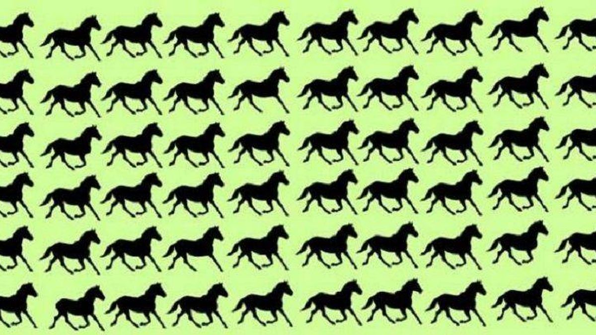 Acertijo viral: ¿eres capaz de encontrar los seis caballos diferentes?