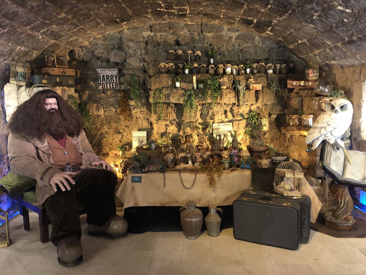 Foto: Hagrid y su lechuza, en el castillo encantado de Trigueros del Valle. (Cedida)