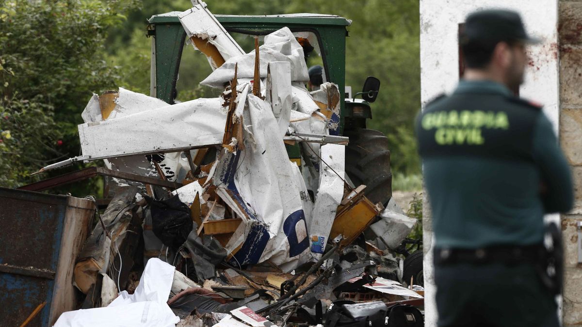 Los buitres, un peligro para los aviadores: diez muertos en España en lo que va de año