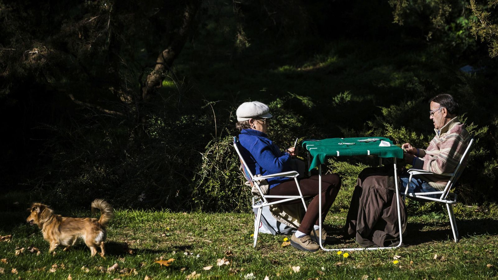 Foto: Una pareja juega hoy a las cartas bajo el sol en la Casa de Campo de Madrid. (EFE)