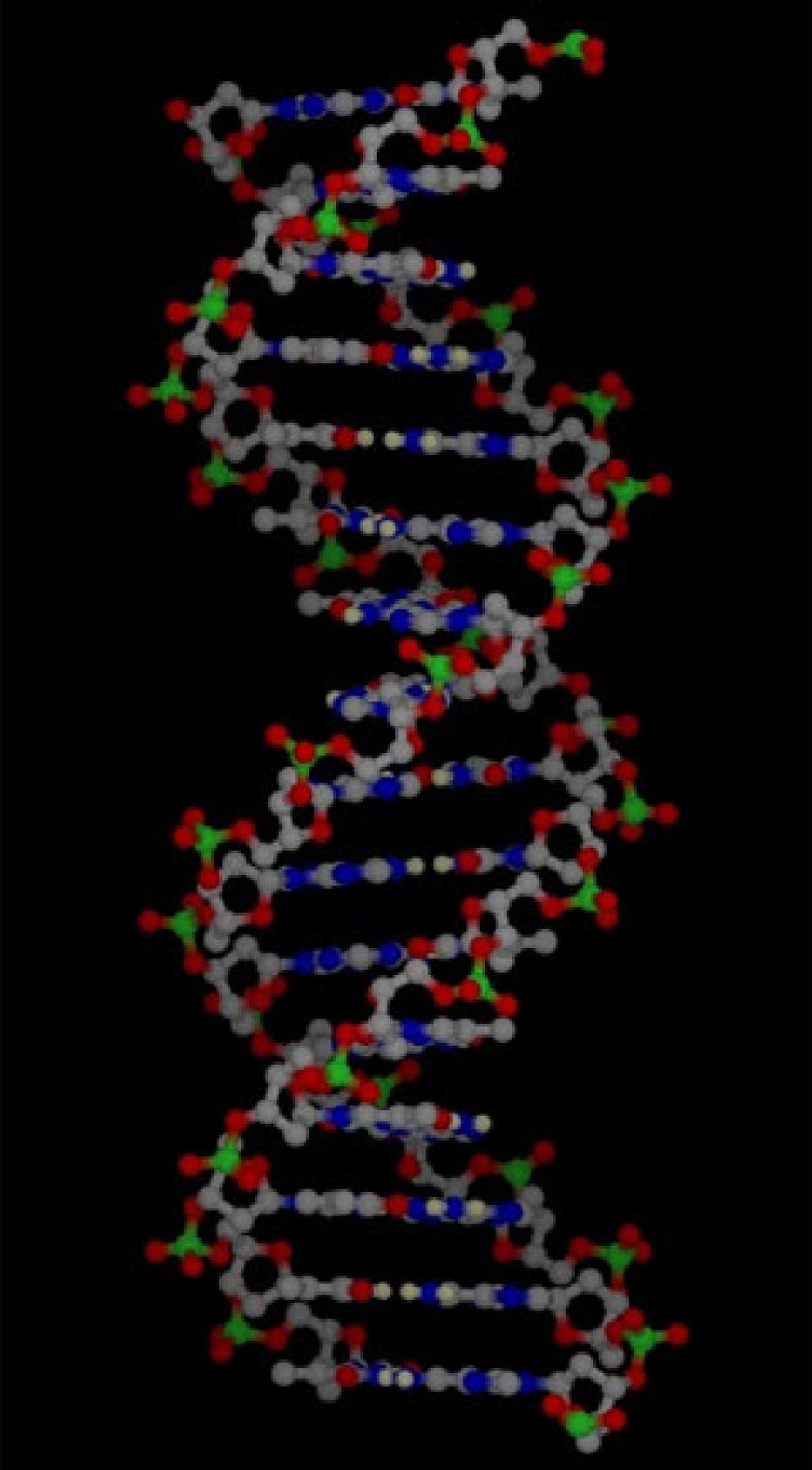 Foto: La herencia biológica no está sólo en el ADN