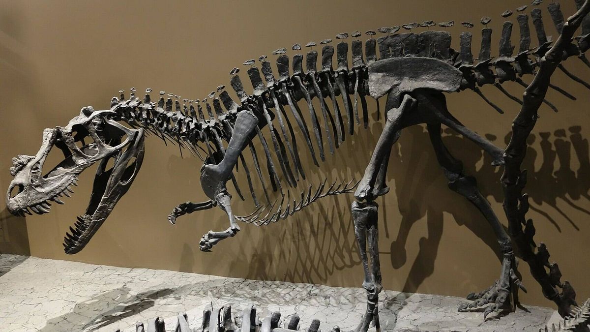 Cazadores de fósiles encuentran restos de dos nuevos dinosaurios en Reino Unido