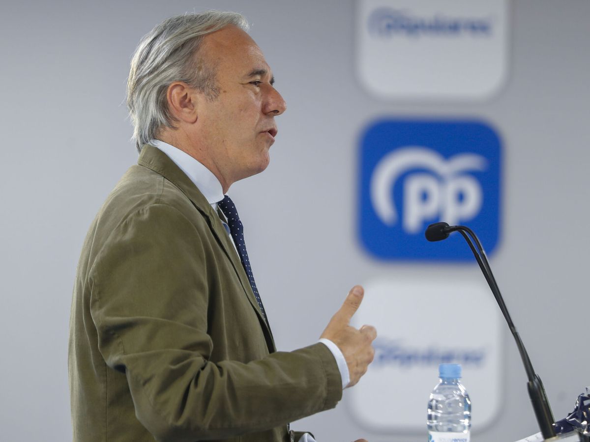 Foto:  El presidente del PP de Aragón y ganador de las elecciones del 28-M, Jorge Azcón. (EFE/Javier Cebollada)