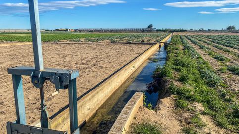 ¿Aguas residuales que riegan cultivos y jardines? Los proyectos de Murcia y Alicante para reducir la huella hídrica