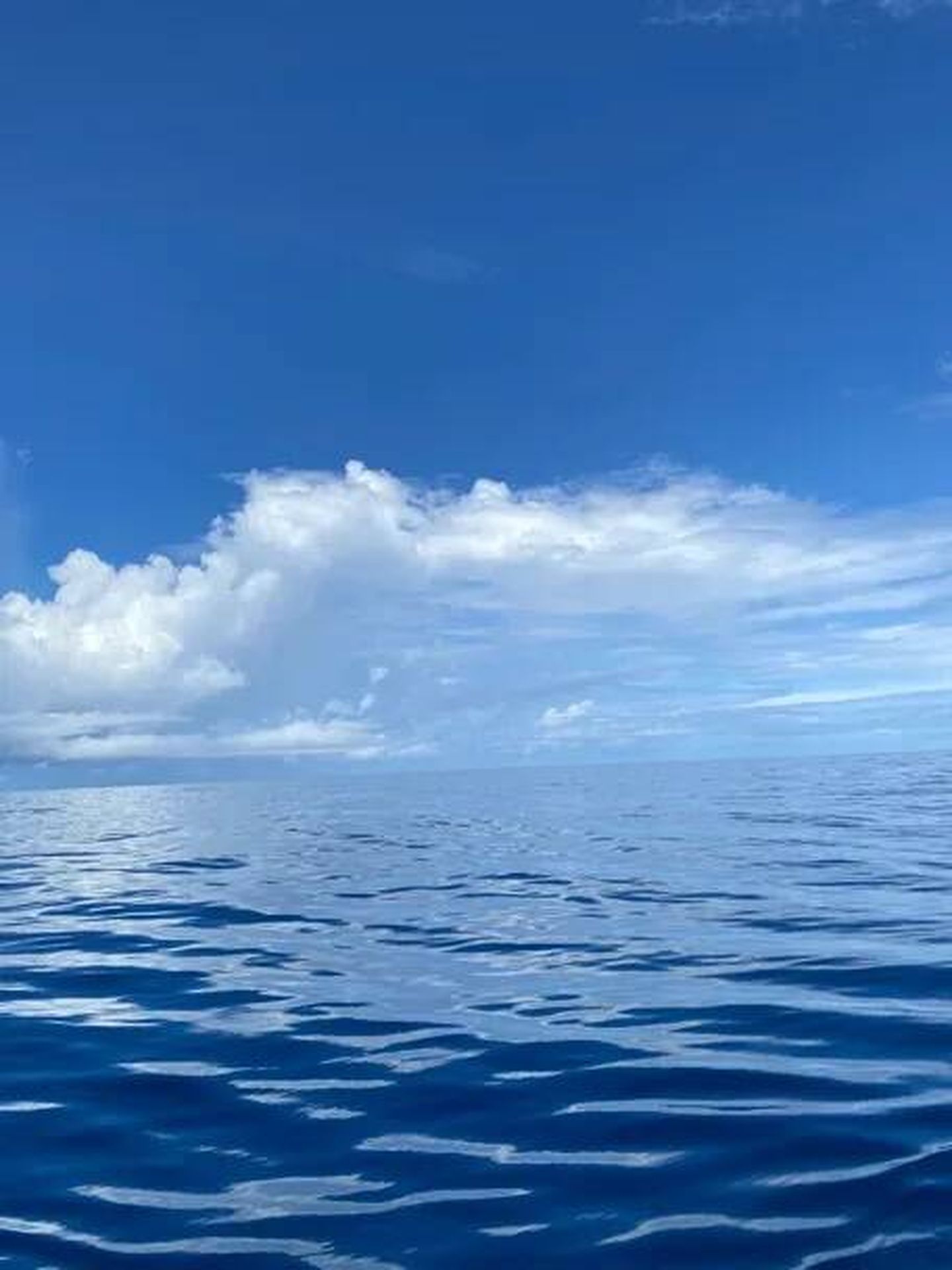 La pacífica belleza del Océano Pacífico y las nubes sobre el horizonte esta mañana, vistas desde la cubierta del Silver Star. Las esférulas de IM1 esperaban nuestra recuperación casi una década después de posarse allí el 8 de enero de 2014 (27 de