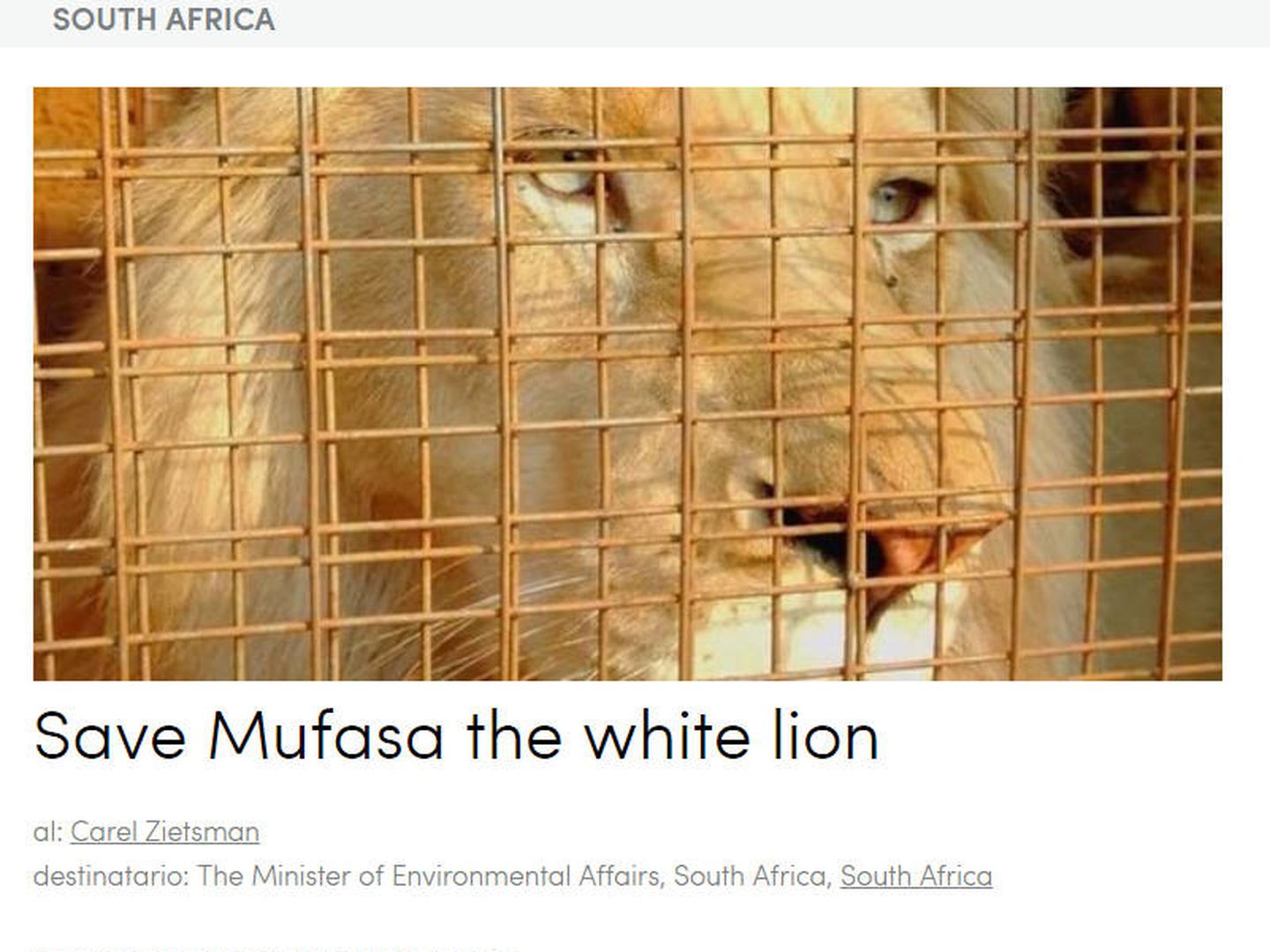 Más de 233.000 personas han pedido la salvación de Mufasa, el león blanco