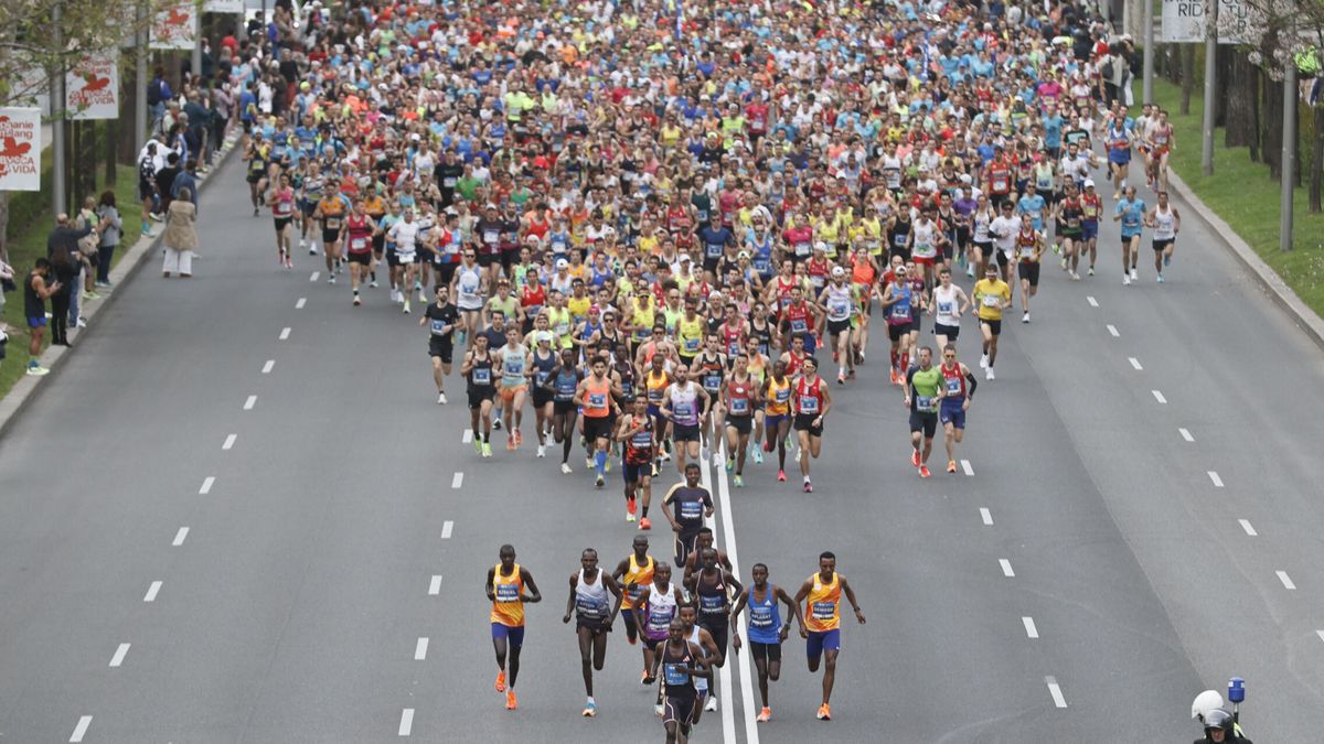 Maratón, media maratón y 10K de Madrid 2024: horario, recorrido y cómo consultar tiempos de la carrera este domingo 