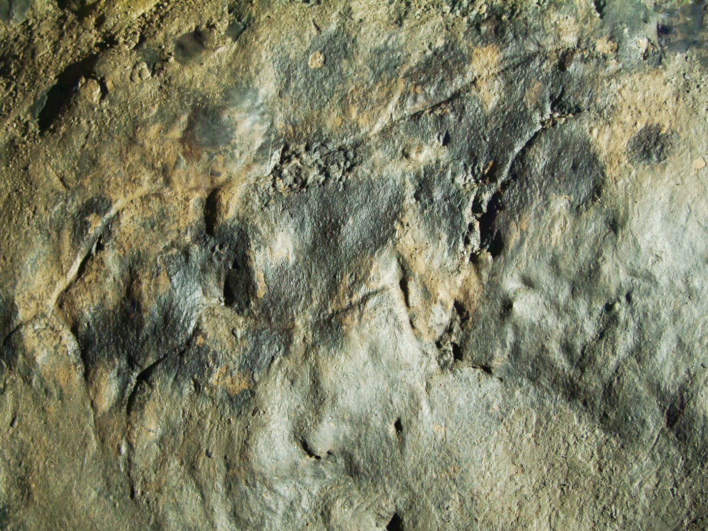 Caballo paleolítico grabado en el suelo. (Cedida)