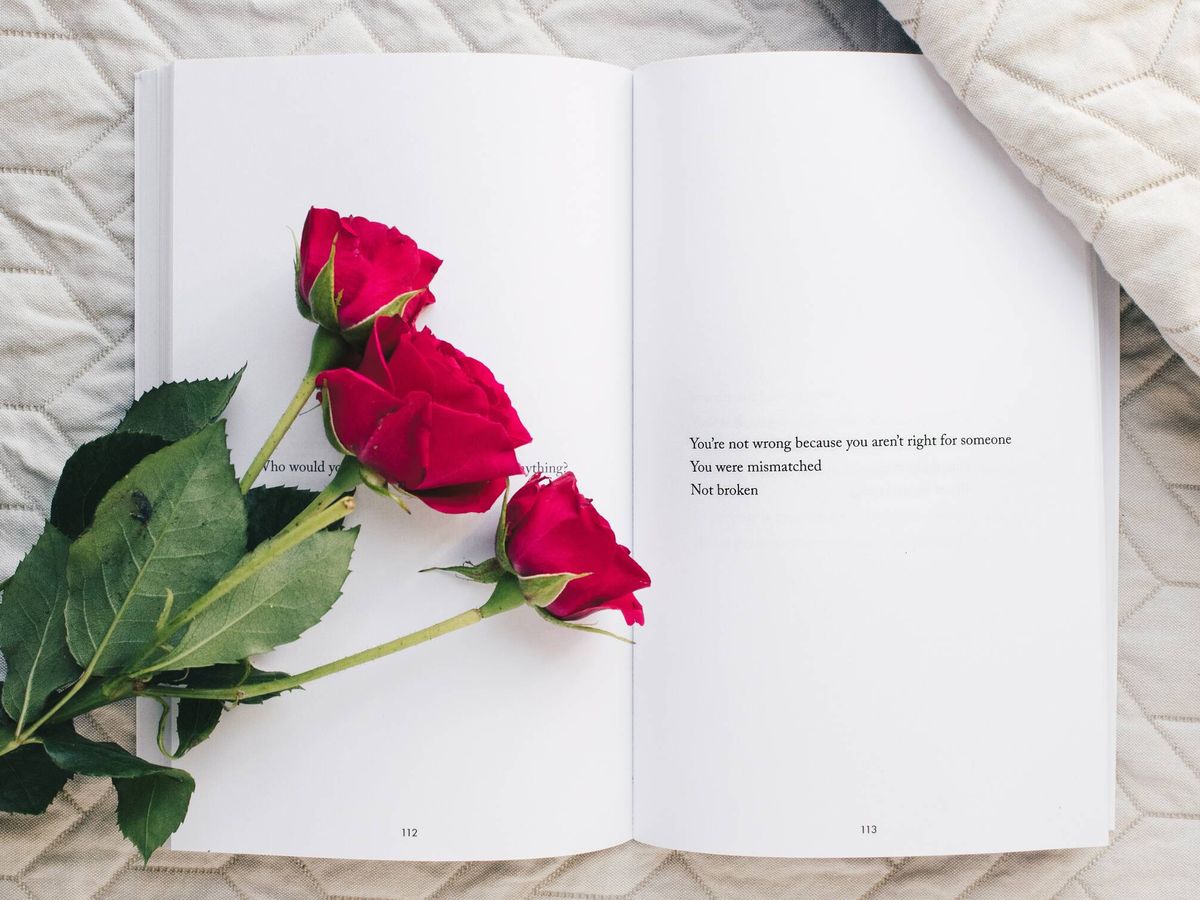 Foto: Libros y rosas para el 23 de abril.
