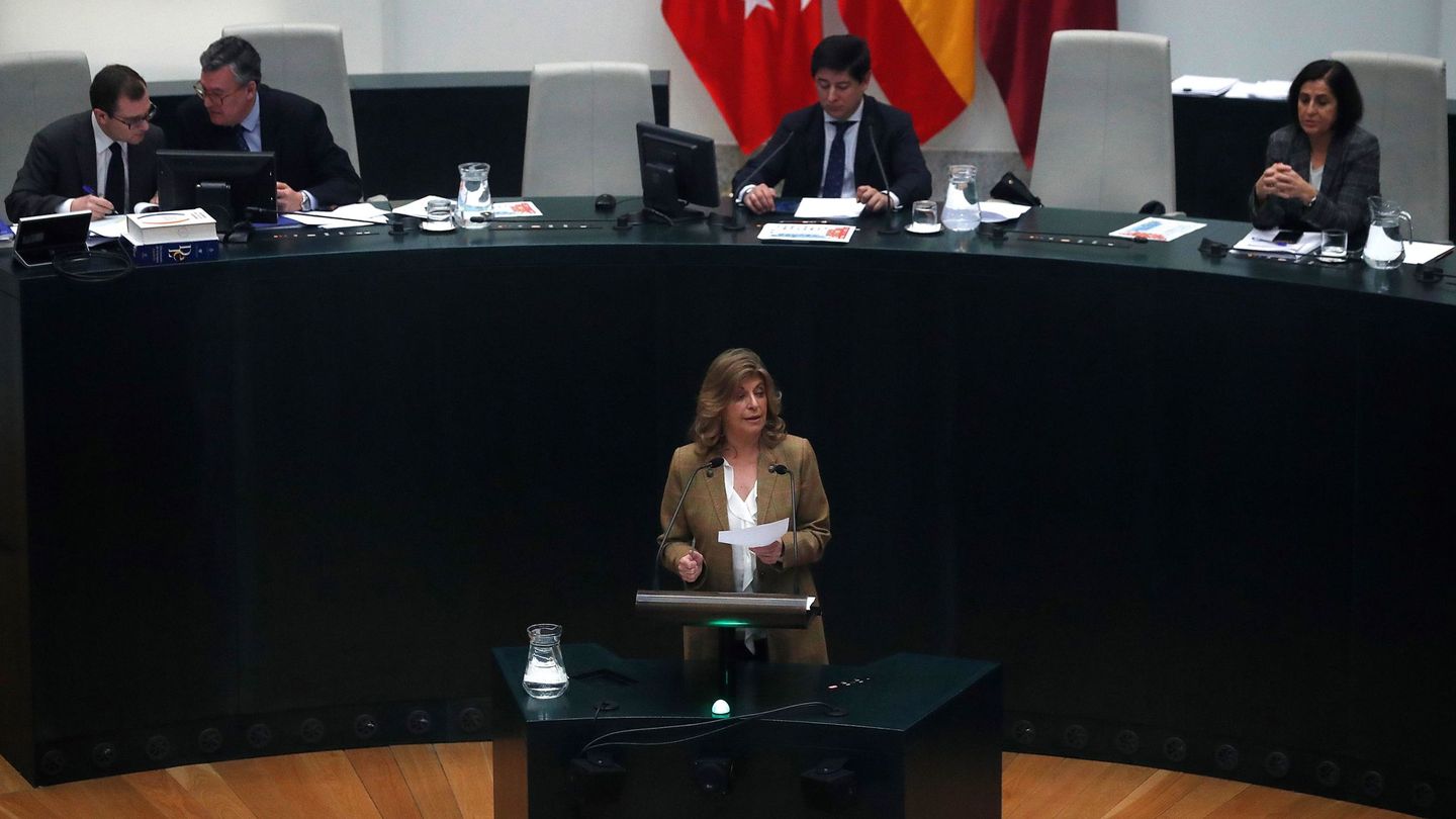 La delegada de Hacienda y Personal, Engracia Higaldo (c), interviene en el pleno del Ayuntamiento de Madrid. (EFE)