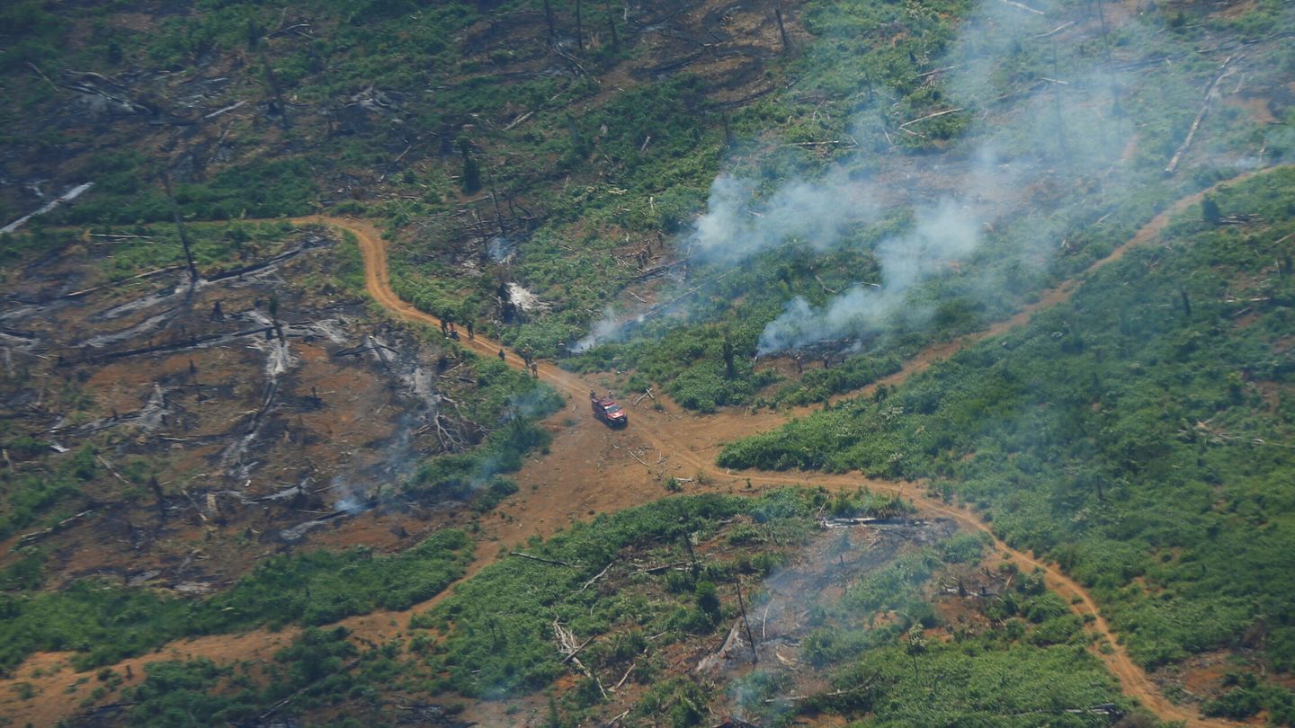 La deforestación del Amazonas es otro talón de Aquiles en la lucha climática de Brasil. (Reuters/Adriano Machado)