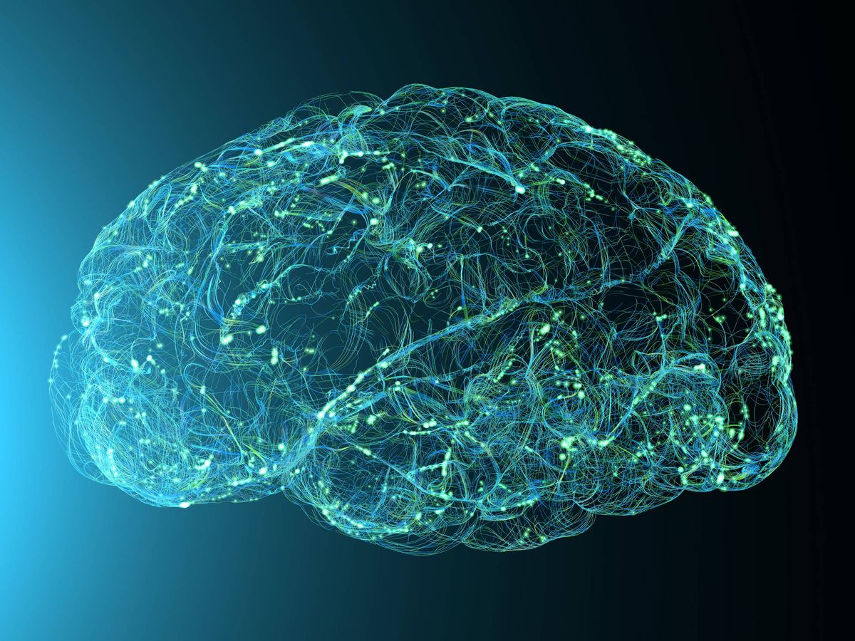 Foto: Las conexiones cerebrales en el cerebro. Foto: iStock