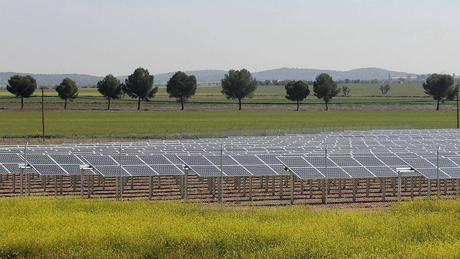 Foto:  Imagen de un campo de placas solares en la provincia de Ciudad Real. (EFE)