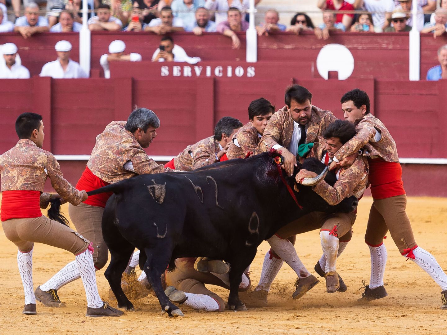 'Aposento da Chamusca' participan en la corrida de rejones. (EFE/Carlos Díaz)
