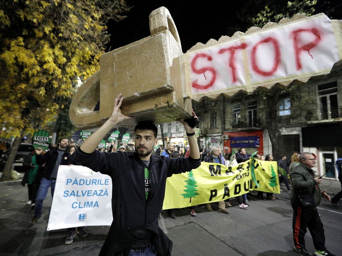 Foto: Un manifestante en Bucarest contra la mafia maderera. (Reuters)