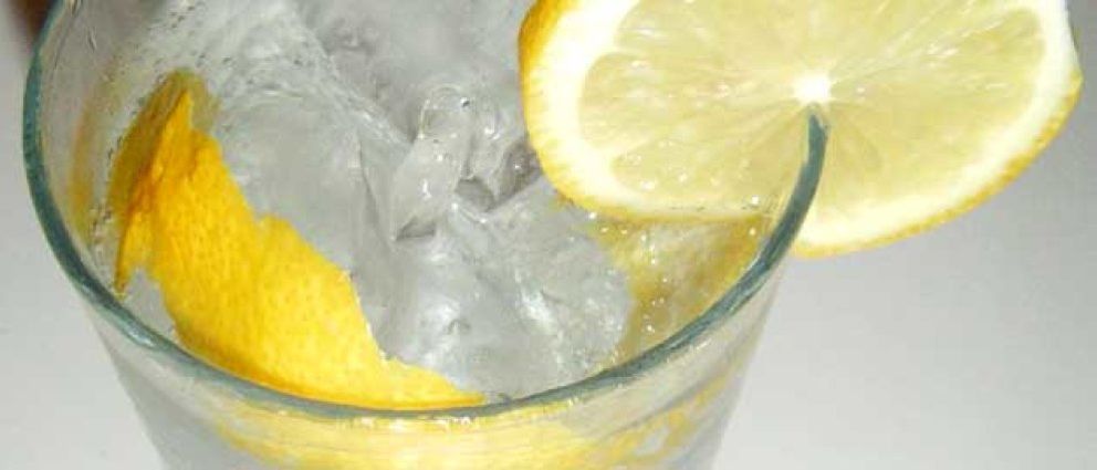 El arte del gin-tonic