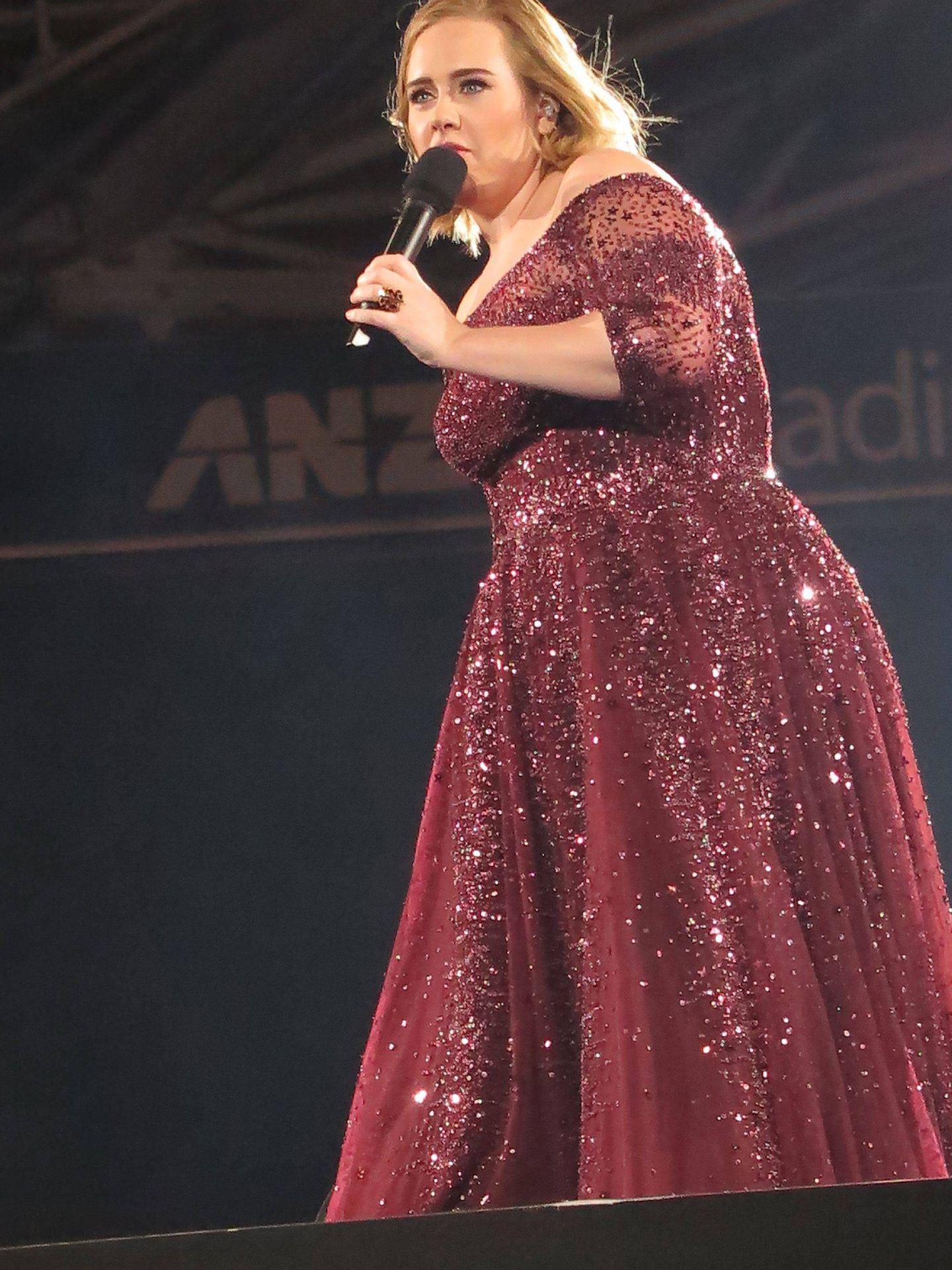  Adele, durante un concierto en Australia. (CP)