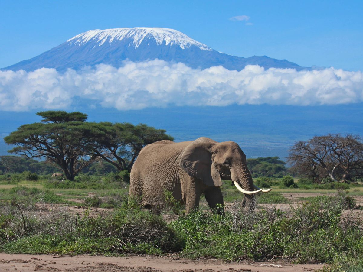 Foto: Monte Kilimanjaro en Tanzania. Foto: Reuters