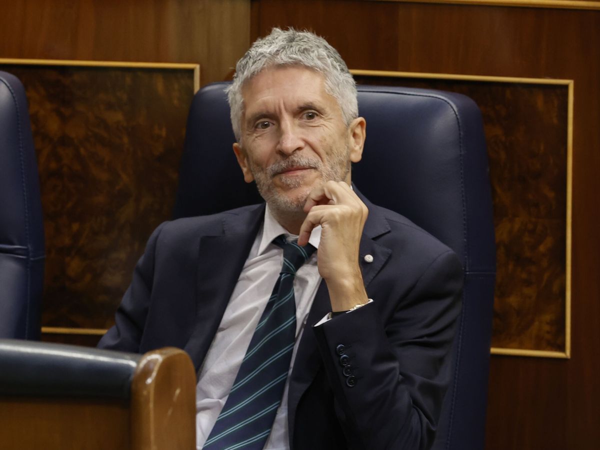 Foto: El ministro de Interior, Fernando Grande-Marlaska. (EFE/Javier Lizón)