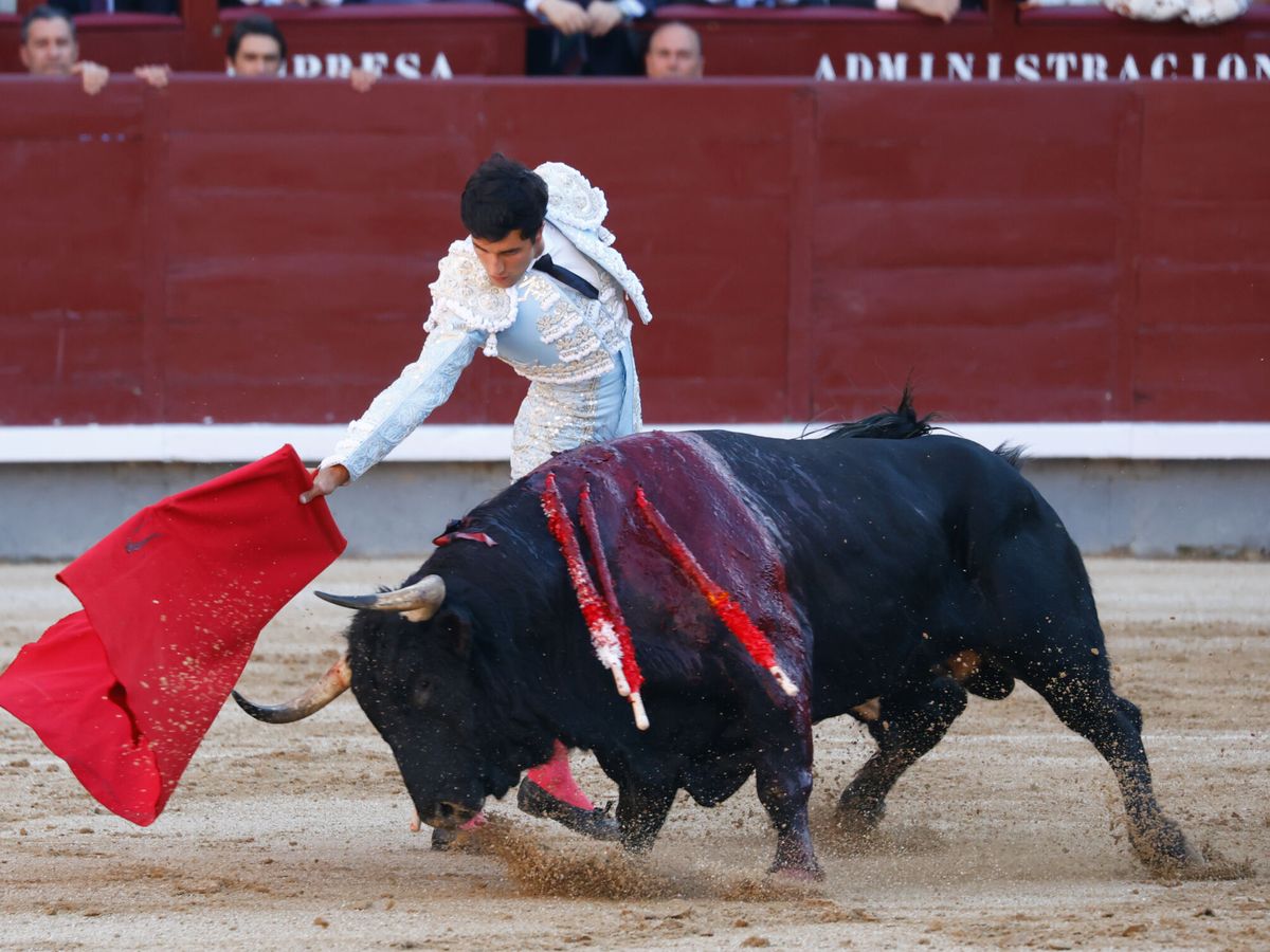 Foto: Guillermo García Pulido en la plaza de toros de Las Ventas (Jose Velasco/Europa Press)