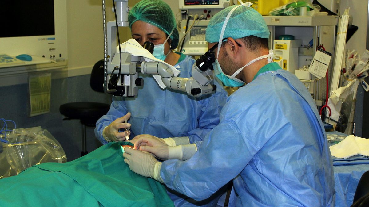 España batirá récords de trasplantes este año y alcanzará el objetivo fijado para 2020