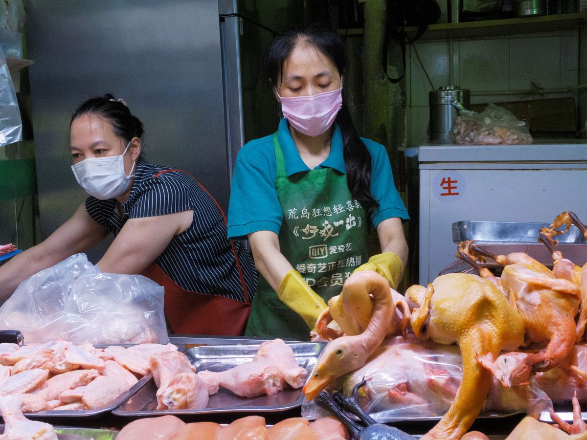 Foto: Trabajadoras de un mercado húmedo en China. (Reuters)