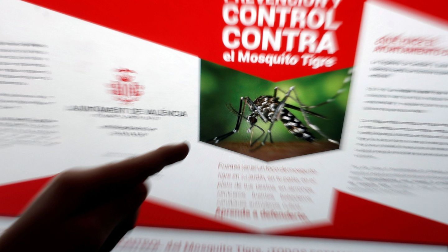 Estrategia del Ayuntamiento de Valencia contra el mosquito tigre. (EFE/Kai Försterling)