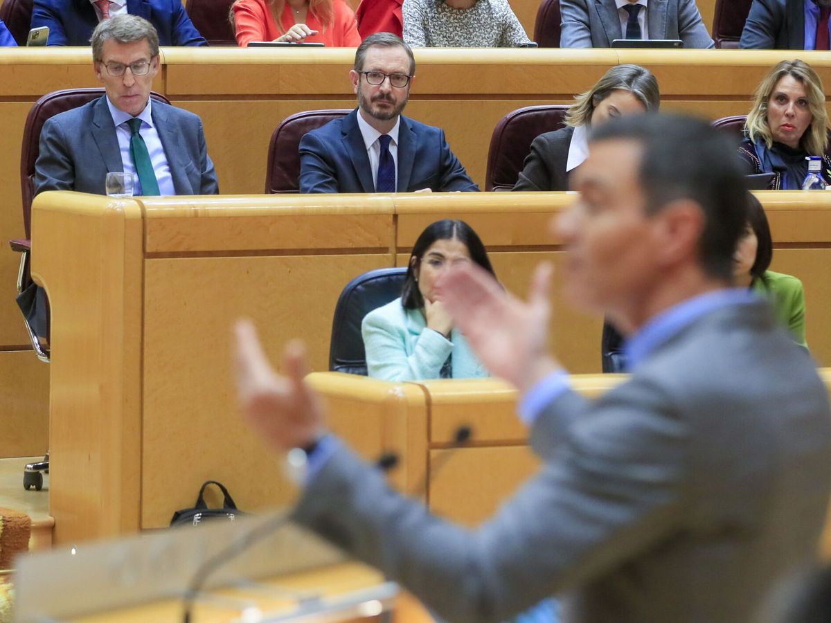 Foto: El líder del PP, Alberto Núñez Feijóo, escucha la intervención presidente del Gobierno, Pedro Sánchez, en un pleno del Senado. (EFE/Fernando Alvarado)