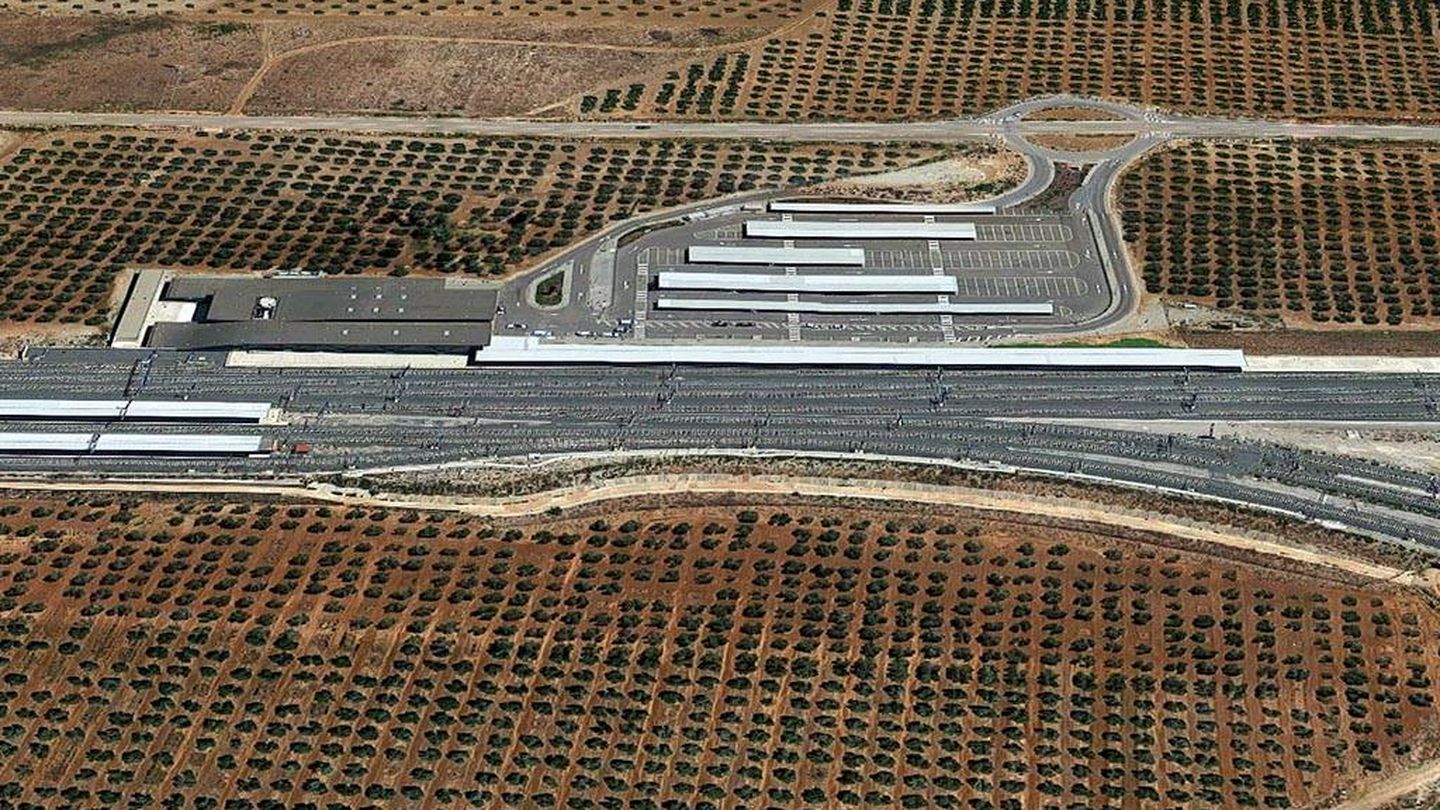 La vía cruza un olivar a su paso por Antequera (María José Esteso Poves, Diagonal)