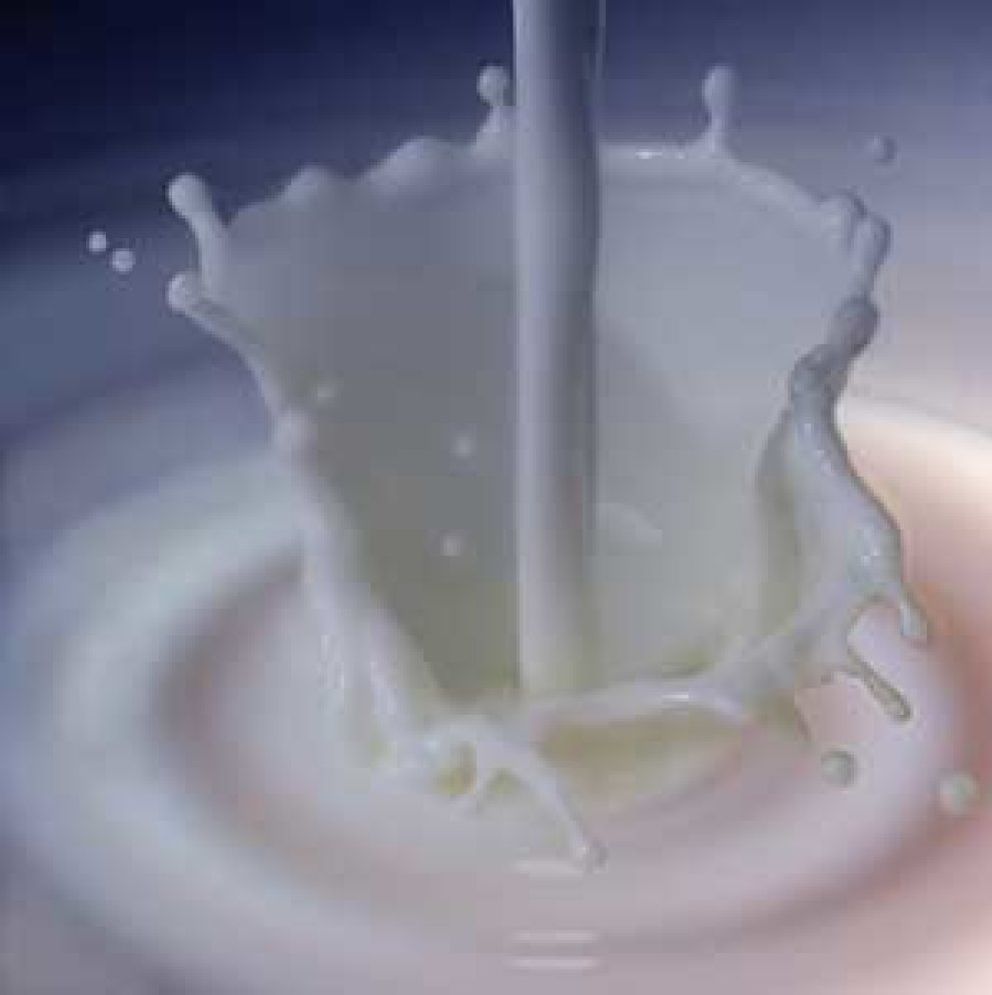 Foto: La leche de vaca ¿es tan sana como dicen?