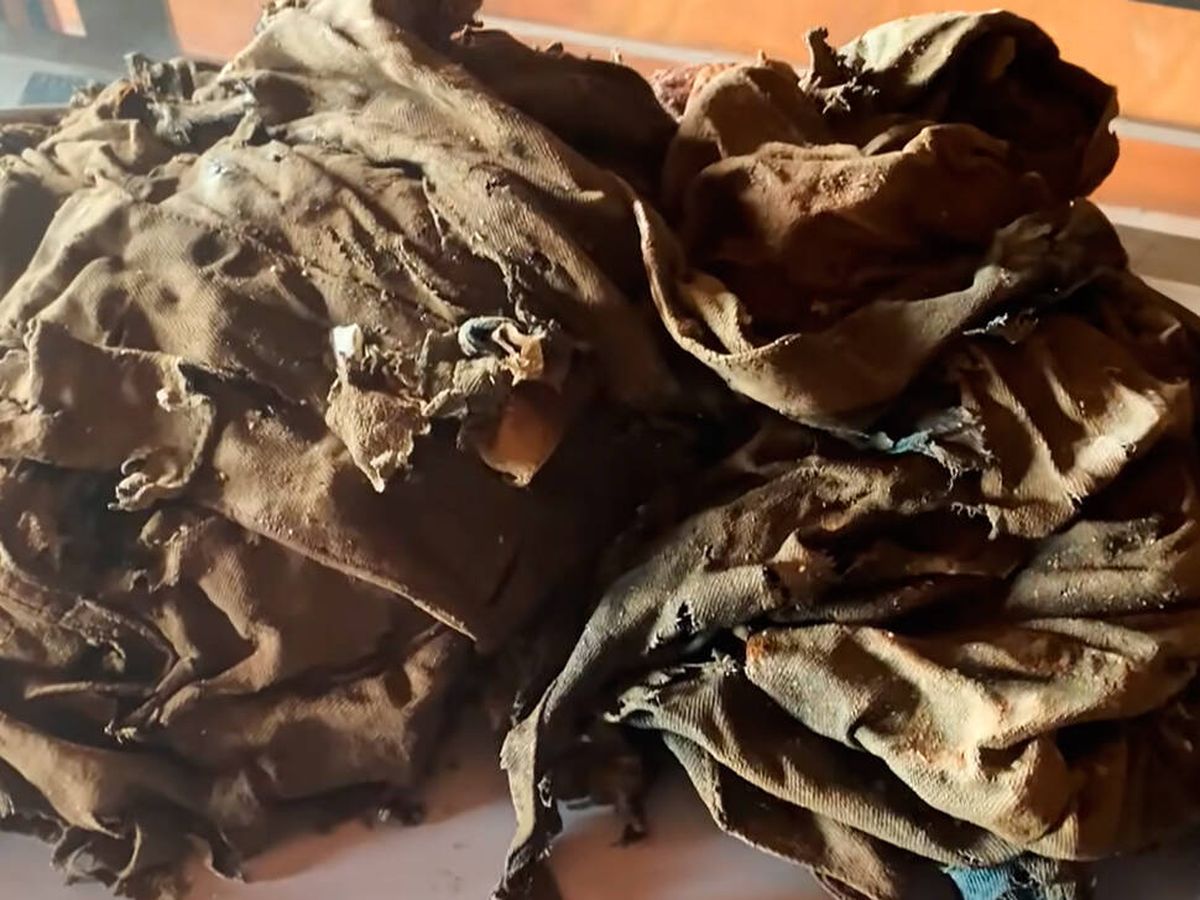 Foto: Los pantalones están casi fosilizados, pero quiere recuperarlos y exponerlos (YouTube)