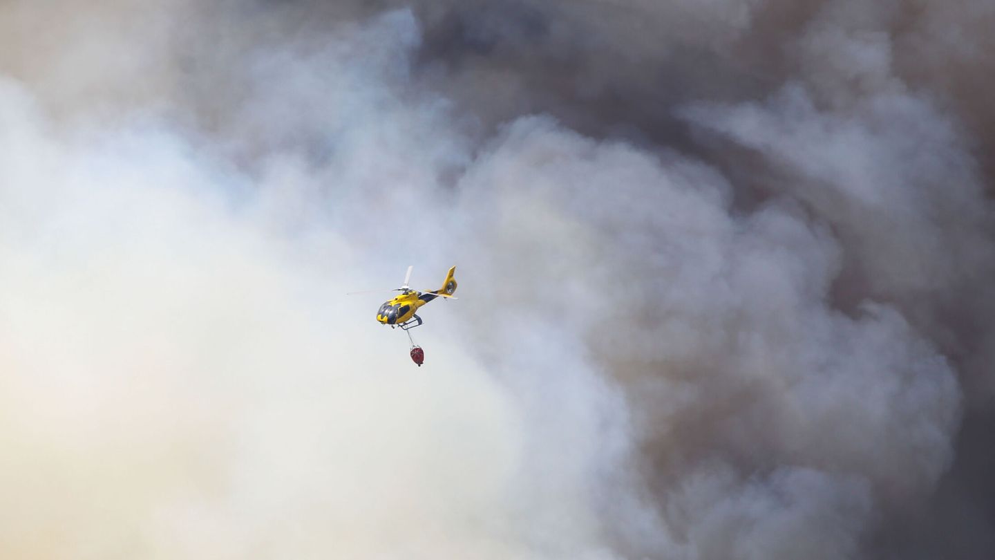 Los incendios forestales son cada vez más devastadores. (EFE/Mariam A. Montesinos) 
