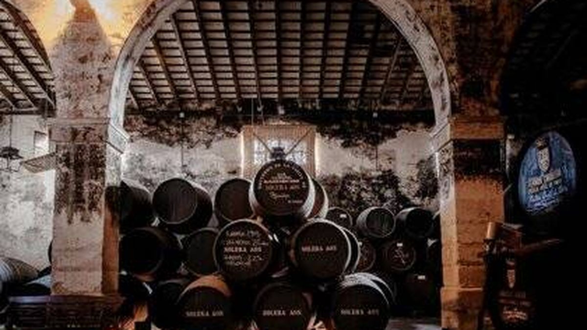 Botas y soleras: así es el hipnótico envejecimiento del brandy de Jerez