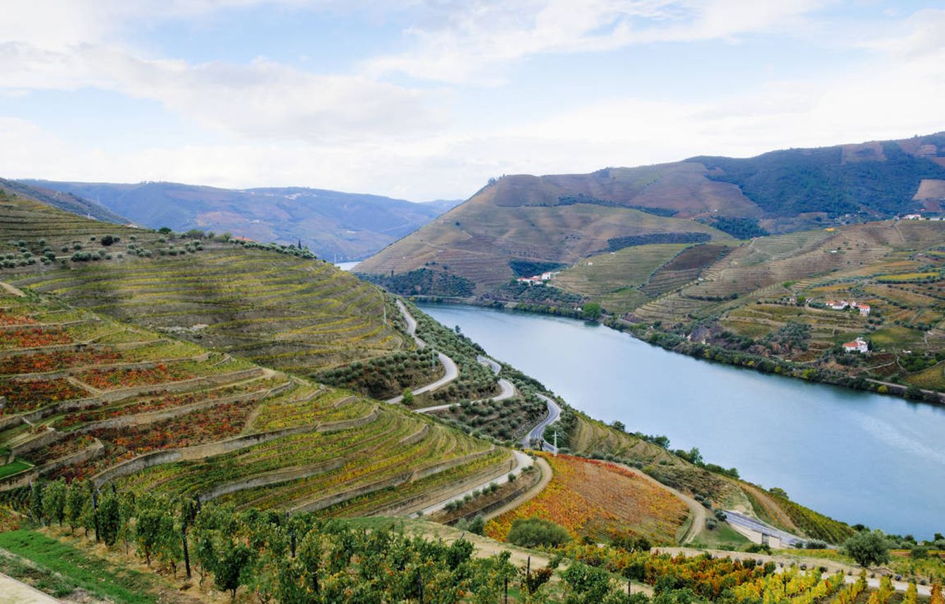 Terraza de viñedos en Portugal (iStock9