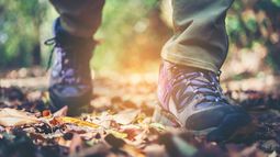 Las mejores zapatillas de senderismo para rutas y excursiones sin dolor de pies
