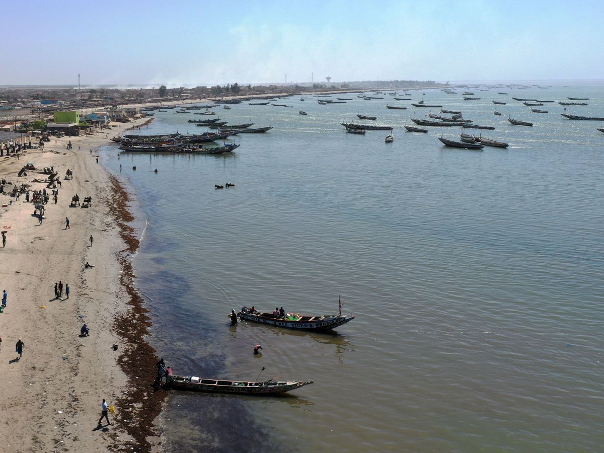 Foto: Un desconocido virus afecta a 500 pescadores en Senegal. (Reuters)