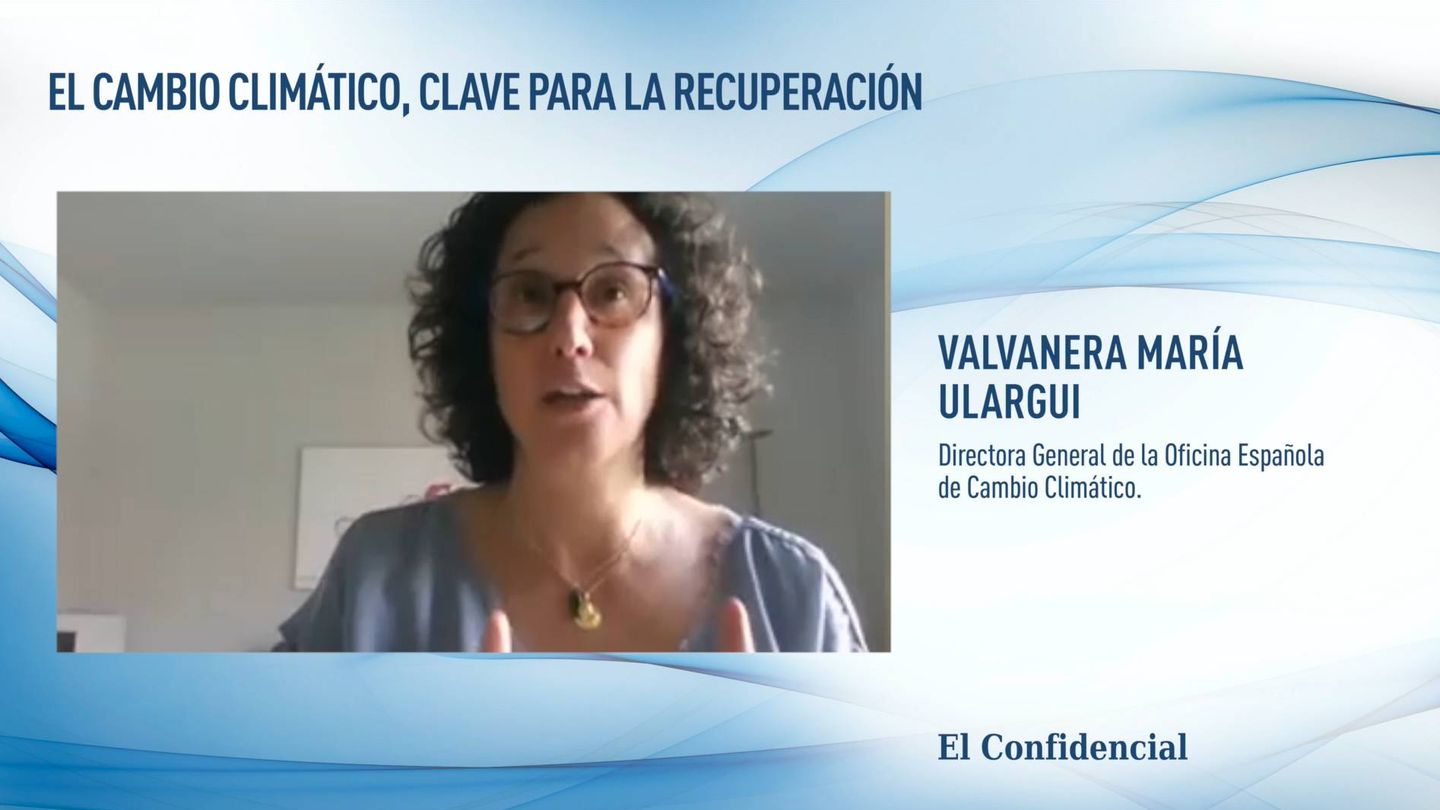 Valvanera Ulargui, directora general de la Oficina Española de Cambio Climático.