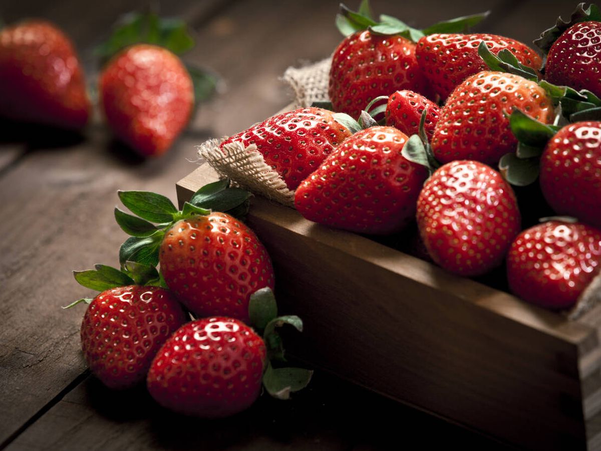 Foto: Dos nuevos estudios aportan nueva evidencia a lo positivo que es incorporar fresas a nuestra dieta diaria. (iStock)