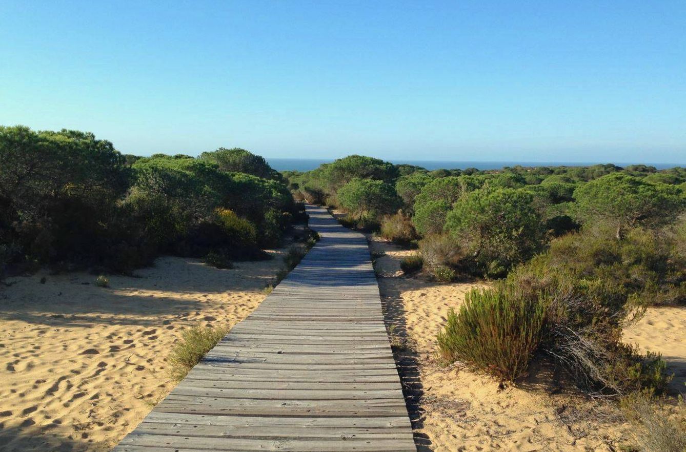 El Parque Nacional de Doñana se encamina a un incierto futuro. (Jose Luis Gallego)