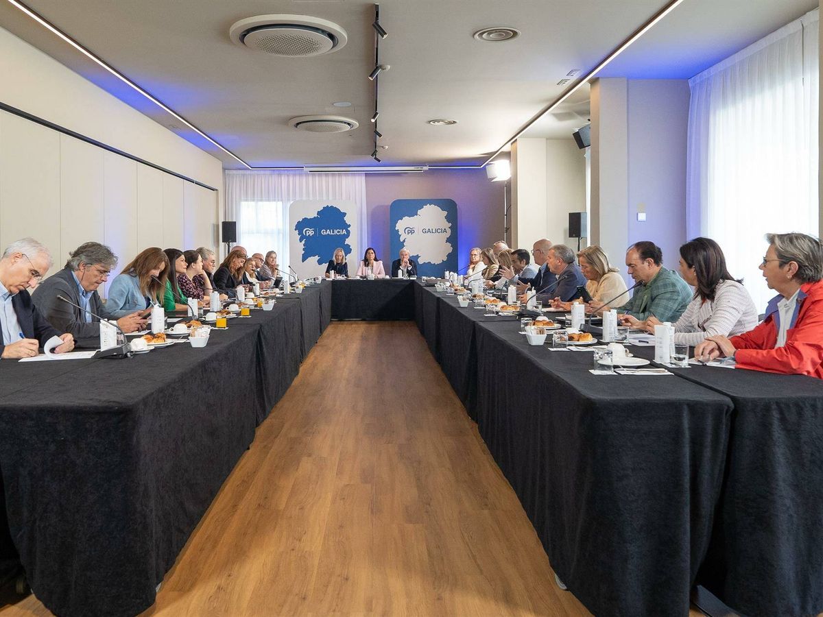 Foto: Reunión de los senadores y diputados del PP de Galicia. (Europa Press/PP de Galicia)
