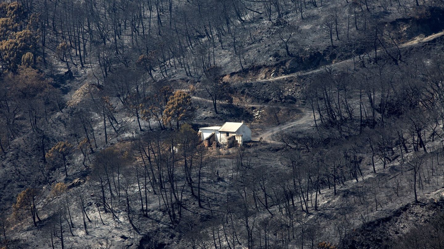 Vista general de la zona quemada por el fuego del incendio de Sierra Bermeja. (EFE)