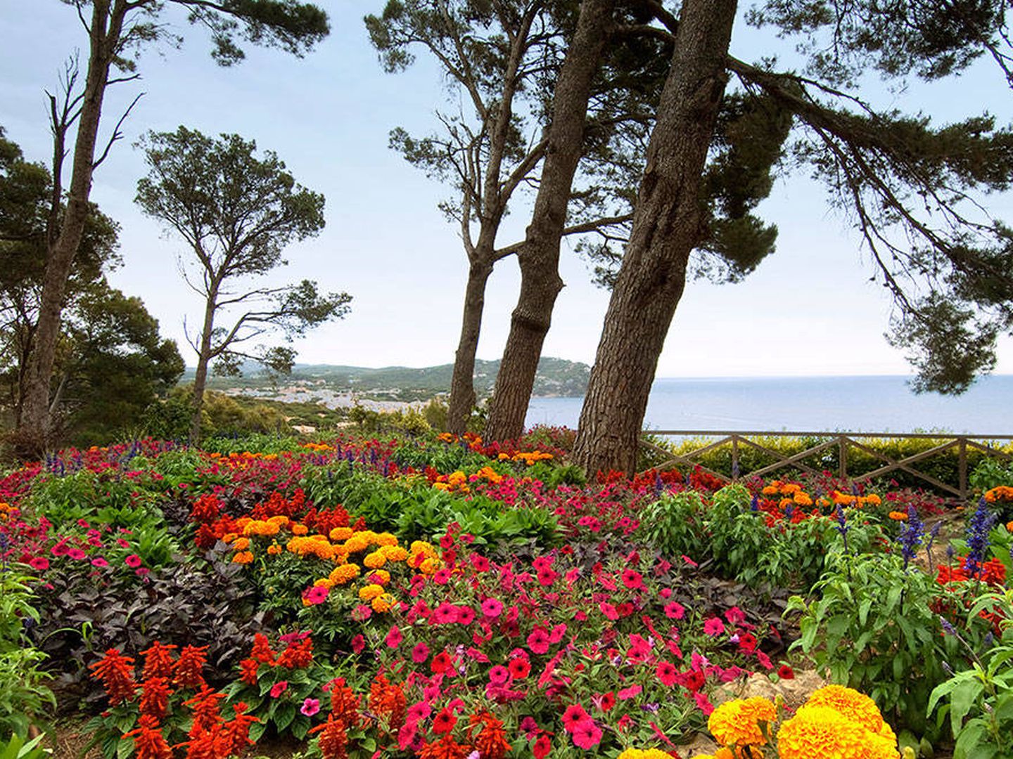 ... Y así los jardines de Cap Roig. (Cortesía Obra Social La Caixa)