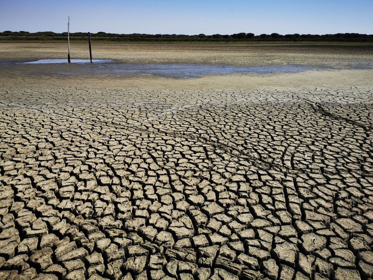 Foto: La laguna de Santa Olalla, la más importante de Doñana, sigue seca (EFE.EBD/CSIC