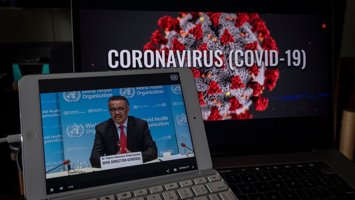 EEUU y otros 13 países piden una "evaluación transparente" sobre el origen del virus 