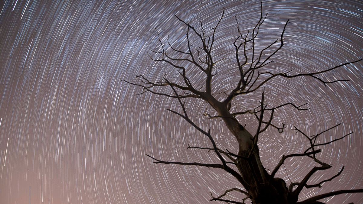 Llegan las Táuridas: horario y cómo ver las bolas de fuego en el cielo nocturno 